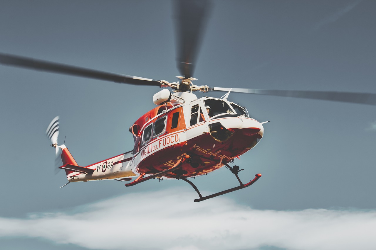 The Importance of Supporting Rescue Efforts Year-Round